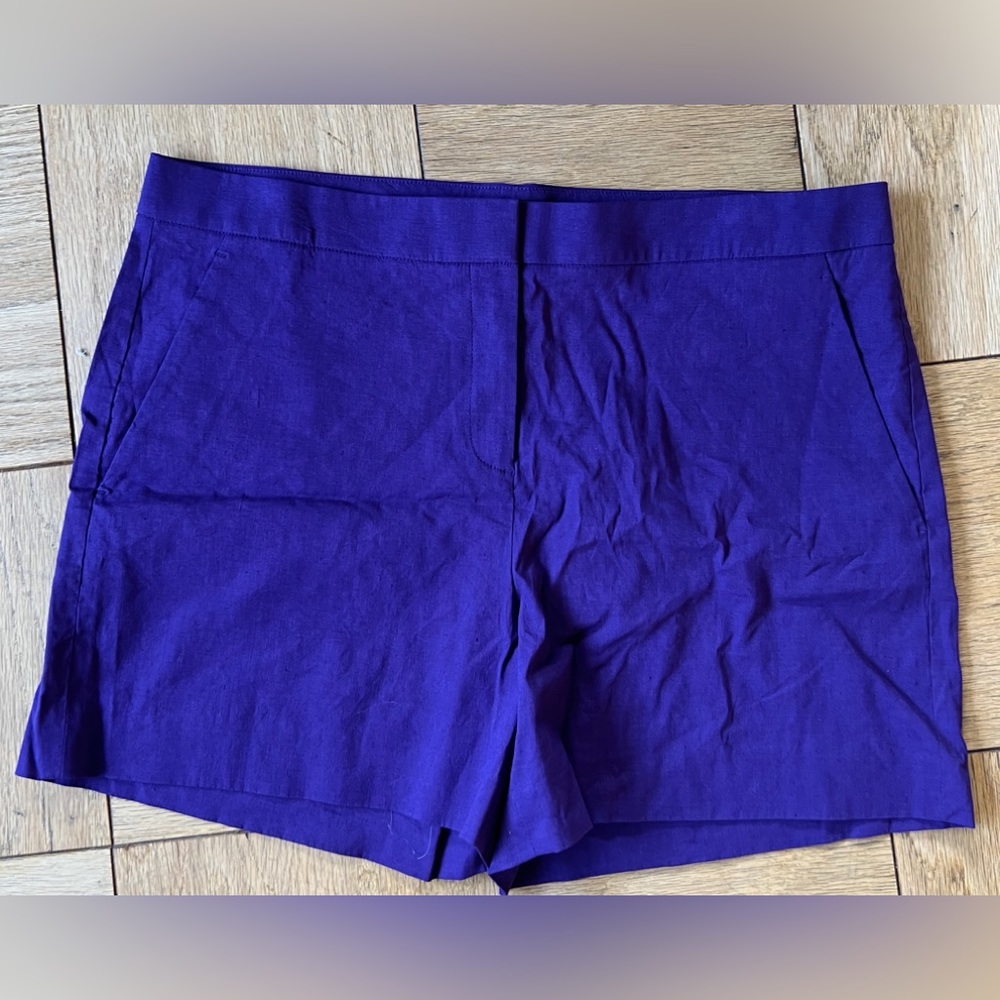 Theory Amethyst Eco Crunch Wash Purple Shorts